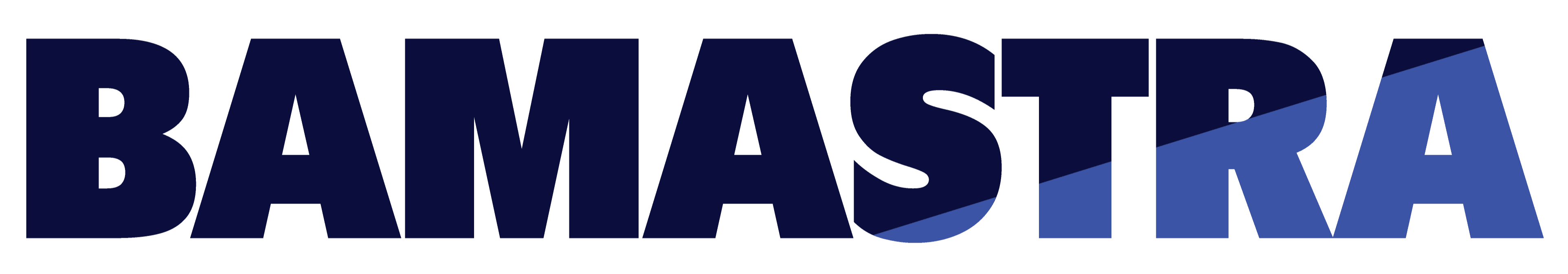 Company Logo Alt Text